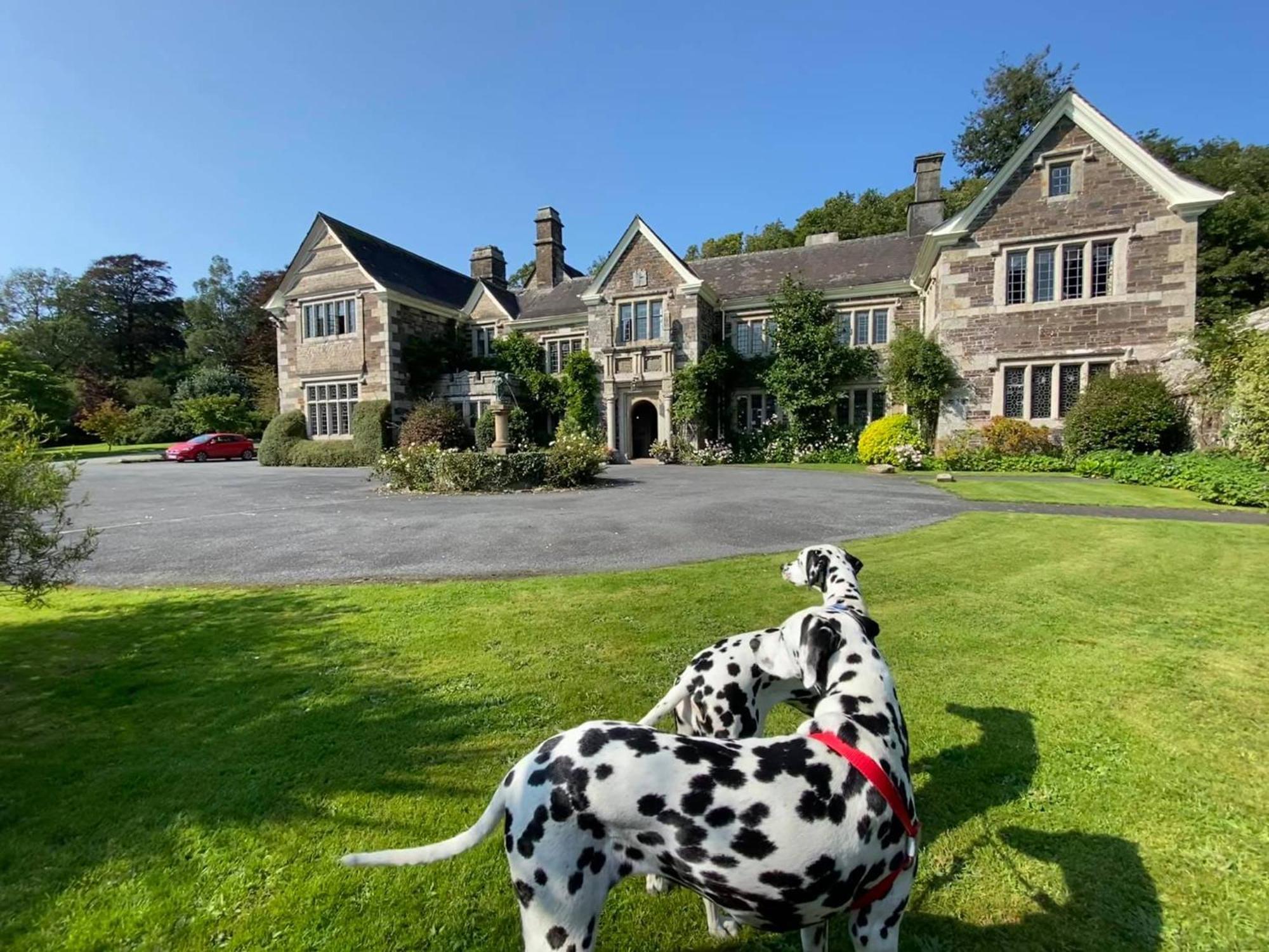 Отель Lewtrenchard Manor Экстерьер фото